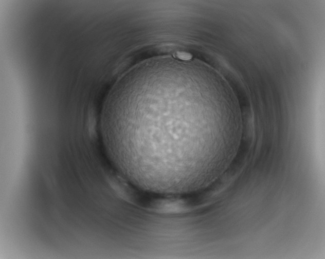 X0000114550266200910191417