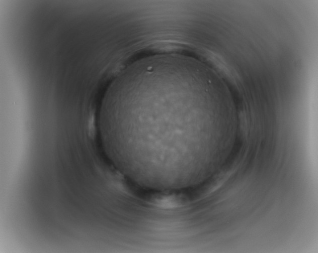 X0000114550267200910191417