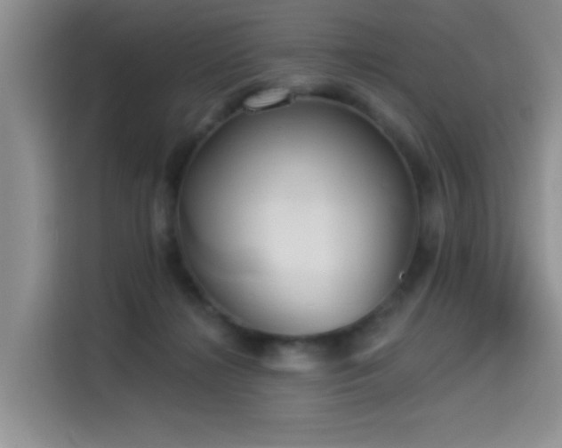 X0000114550268200910191417