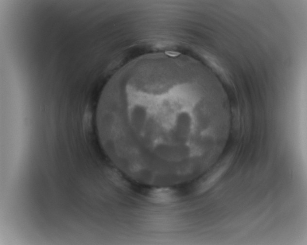 X0000114550269200910191417
