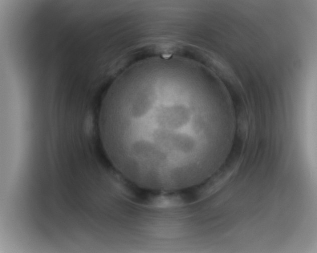 X0000114550270200910191417