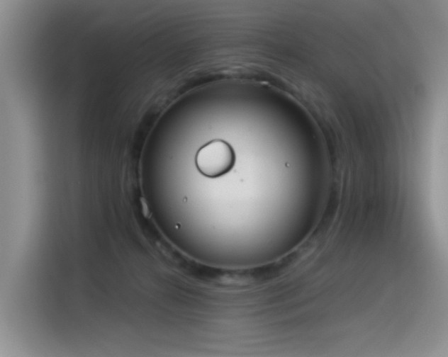X0000114550272200910191417