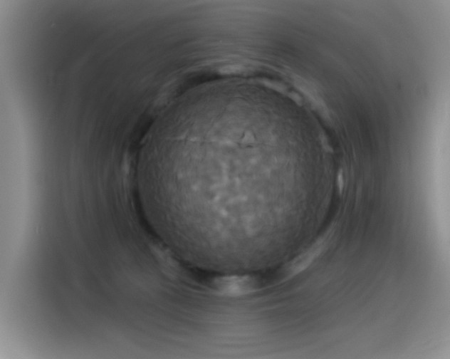 X0000114550273200910191417