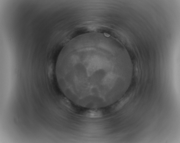 X0000114550275200910191417