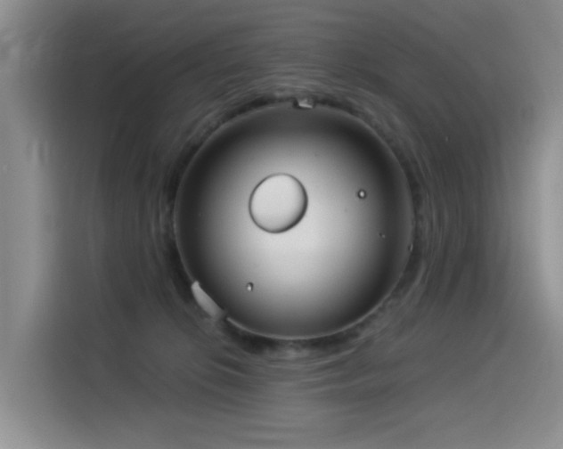 X0000114550276200910191417