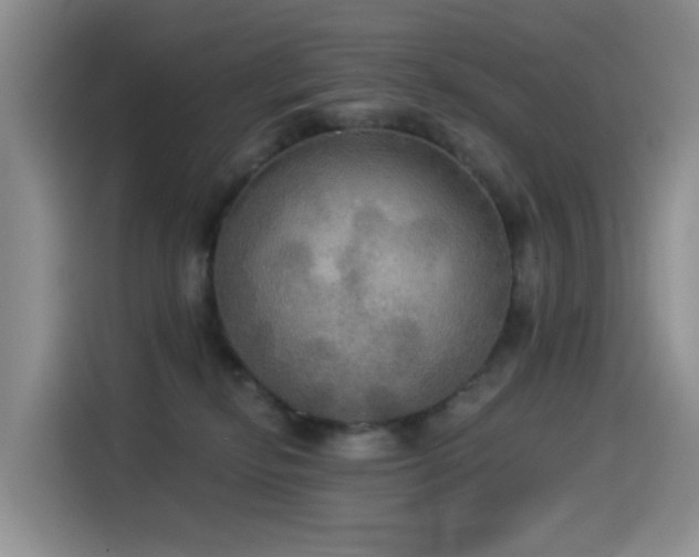 X0000114550278200910191417