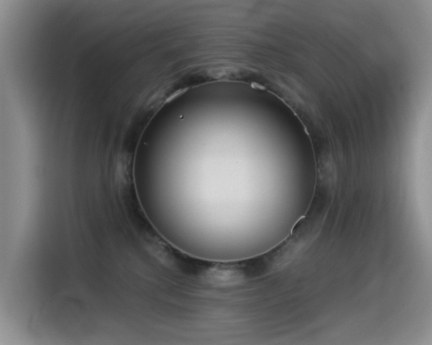 X0000114550280200910191417