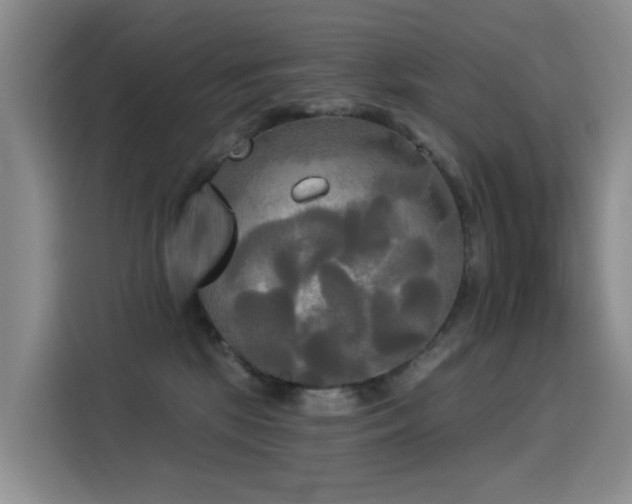 X0000114550281200910191417