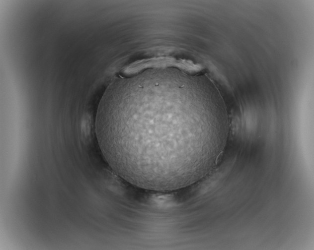 X0000114550283200910191417