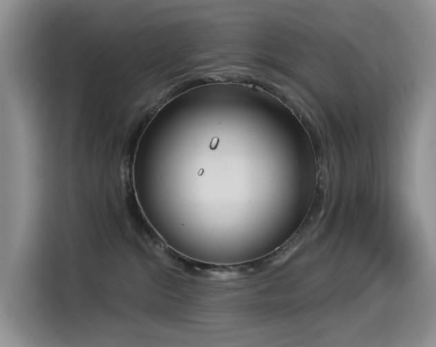 X0000114550284200910191417