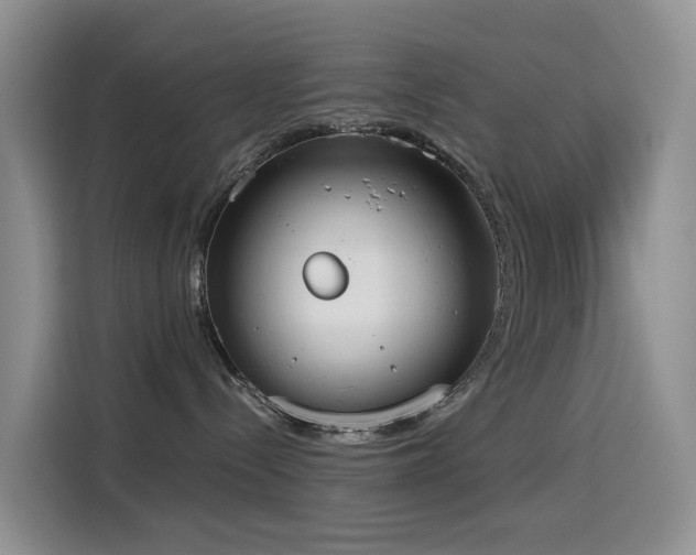 X0000114550288200910191417