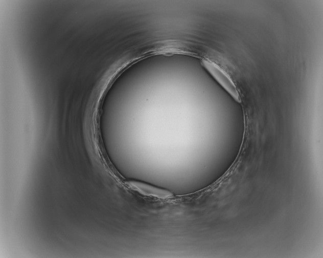 X0000114550289200910191417