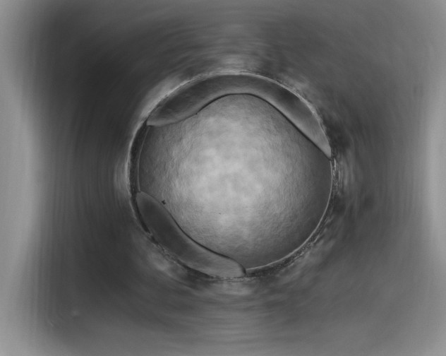 X0000114550292200910191417