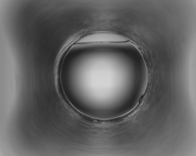 X0000114550293200910191417