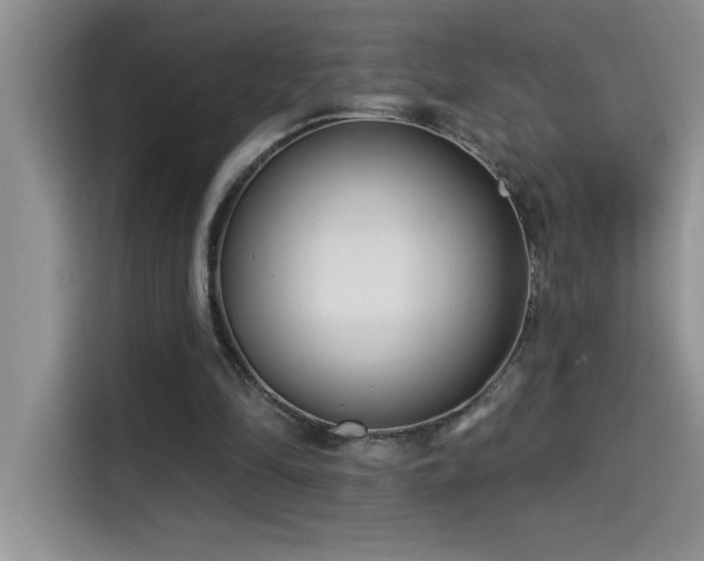X0000114550294200910191417