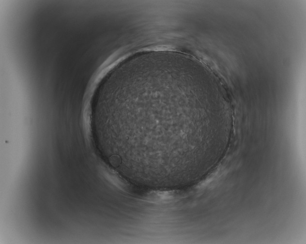 X0000114550295200910191417