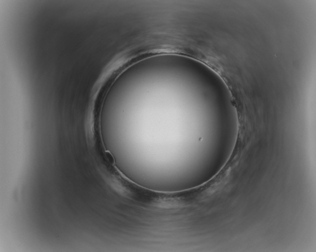 X0000114550296200910191417