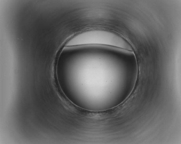 X0000114550297200910191417