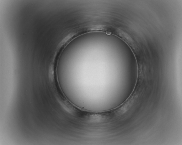 X0000114550298200910191417
