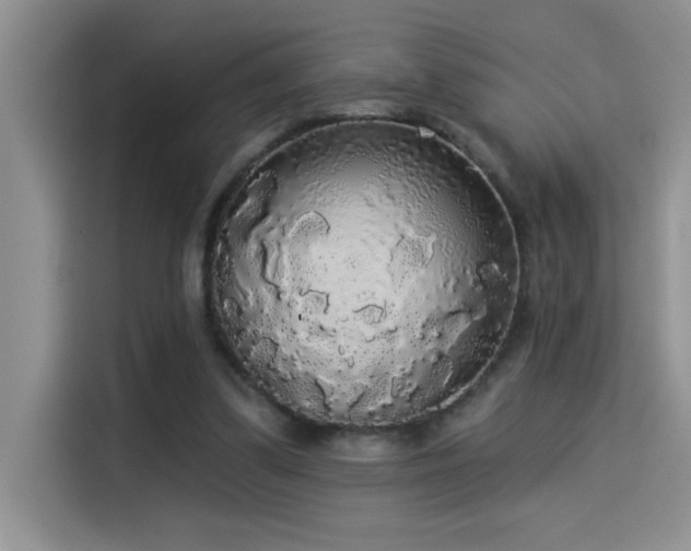 X0000114550299200910191417