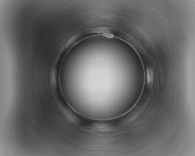 X0000114550300200910191417