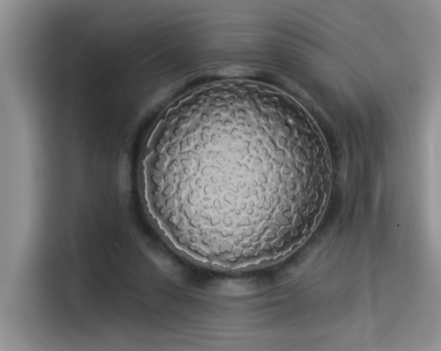 X0000114550303200910191417