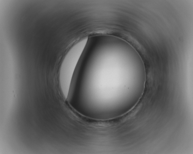 X0000114550305200910191417