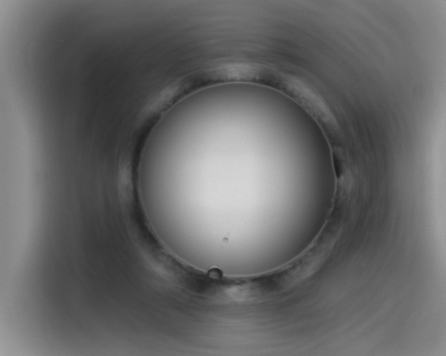 X0000114550306200910191417