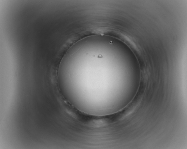 X0000114550307200910191417
