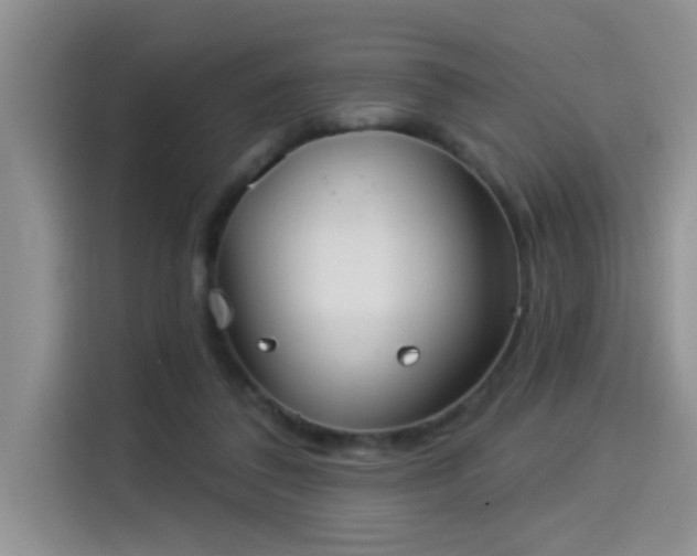 X0000114550308200910191417