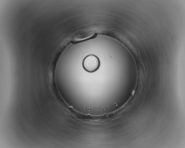 X0000114550309200910191417