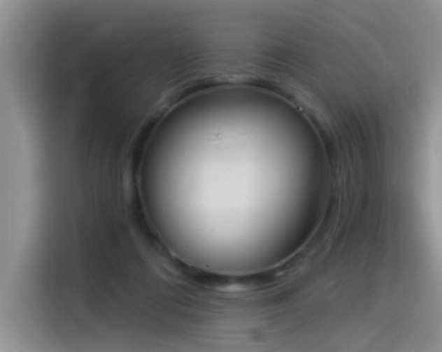 X0000114550312200910191416