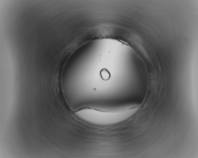 X0000114550313200910191416