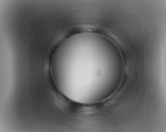 X0000114550314200910191416