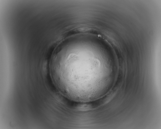 X0000114550319200910191416