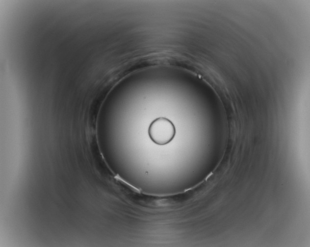 X0000114550324200910191416