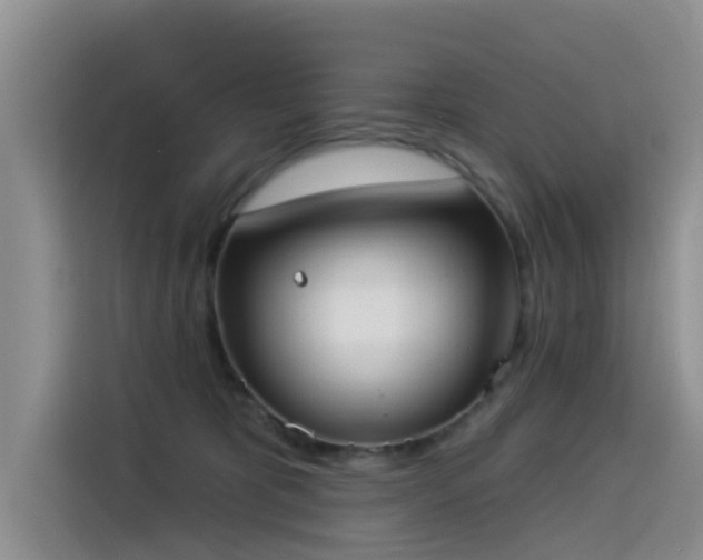 X0000114550325200910191416