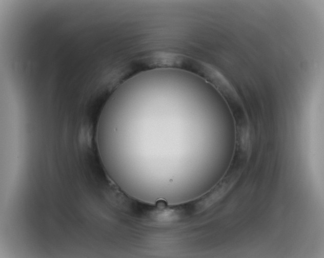 X0000114550326200910191416