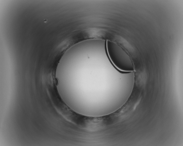 X0000114550329200910191416