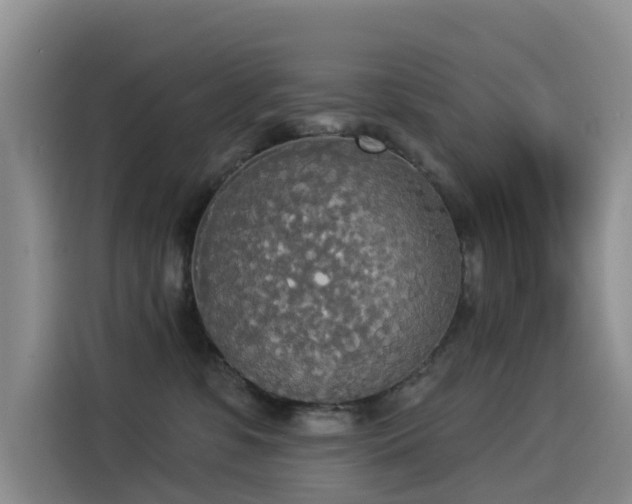 X0000114550331200910191416