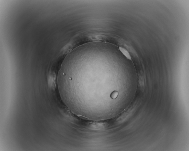 X0000114550332200910191416