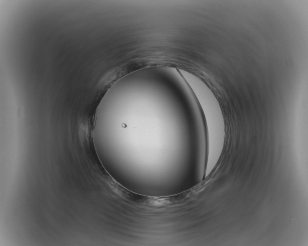 X0000114550333200910191416