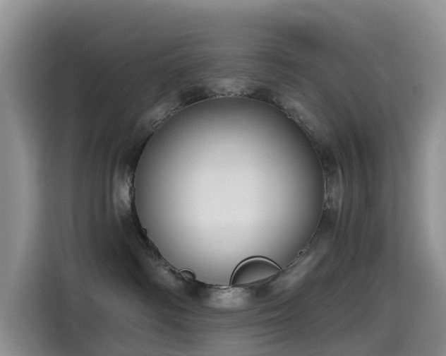 X0000114550334200910191416