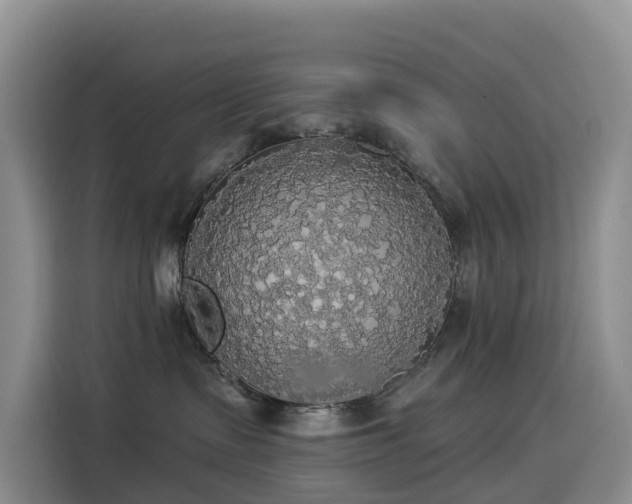 X0000114550335200910191416
