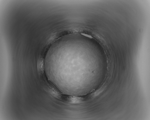 X0000114550336200910191416