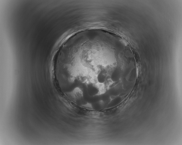 X0000114550339200910191416