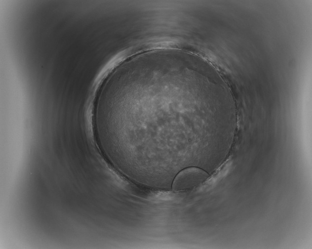 X0000114550341200910191416
