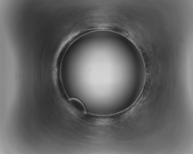 X0000114550342200910191416