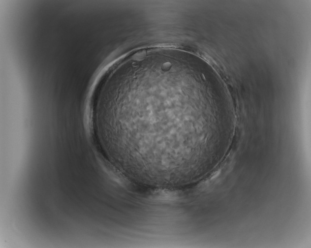 X0000114550343200910191416