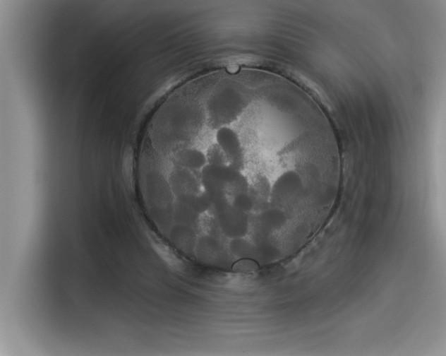 X0000114550345200910191416